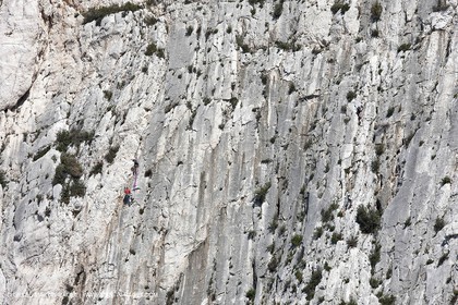 27 03 2009 - Marseille (FRA, 13) - Les Calanques - Morgiou - Cret saint Michel cliff