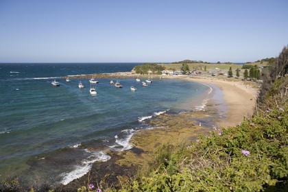 11 12 2006 - Australie - New South Wales - Central coast - Gosford & environs
