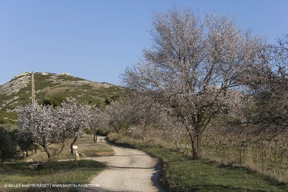 09 02 2008 - Les Baux de Provence (FRA, 13) - Alpilles hills landscapes
