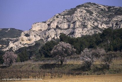 ALPILLES0016