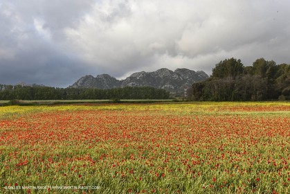29 04 2012 ( Saint Rémy de Provence (FRA, 13) - Chaîne des Alpilles vers Romanin
