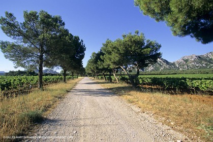 ALPILLES0028