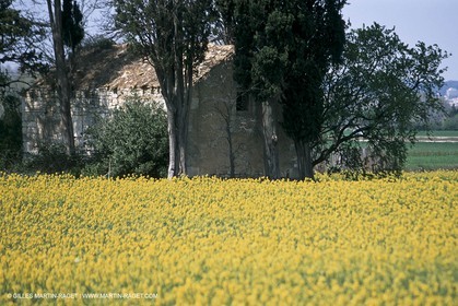 costieres_plaine0075.jpg