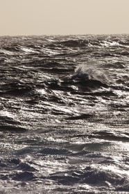 27 08 2010 - Minorque (ESP) - Cap Favaritx (côte Est)