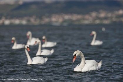 13 06 2012 - Berre l'Etang (FRA,13)