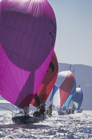 Sailing, Yacht Racing, Big Boat Series , San Francisco (USA)