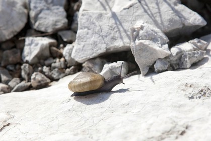 16 04 2009 - Marseille (FRA, 13) - Les Calanques