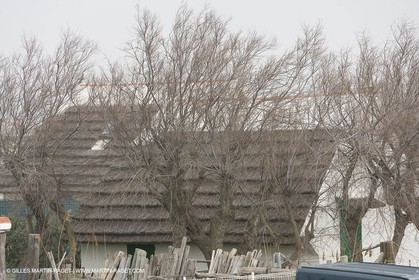 16 02 2008 - Les Saintes Maries de la mer (FRA, 13) - Cabanes de gardians