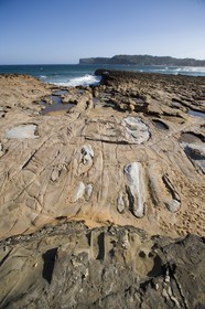 11 12 2006 - Australie - New South Wales - Central coast - Gosford & environs