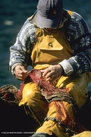 Pêche, barques, pointus, pêcheurs