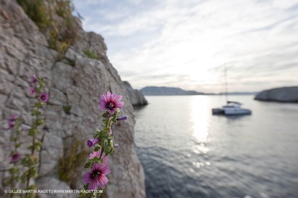 06 05 2009 - Marseille (FRA, 13) - Les Calanques - Plane Island