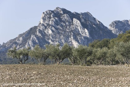 09 02 2008 - Les Baux de Provence (FRA, 13) - Alpilles hills landscapes