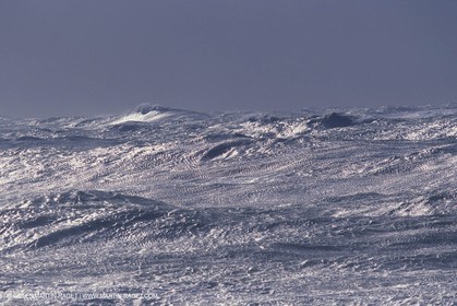 tempest