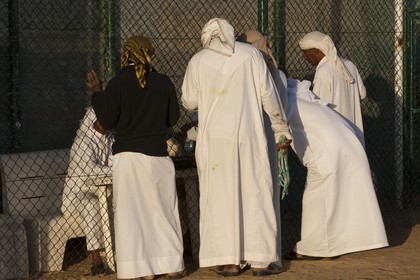 20 11 2010 - Dubai (UAE) - Camel races
