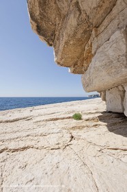 07 05 2009 - Marseille (FRA, 13) - Les Calanques - La Lèque