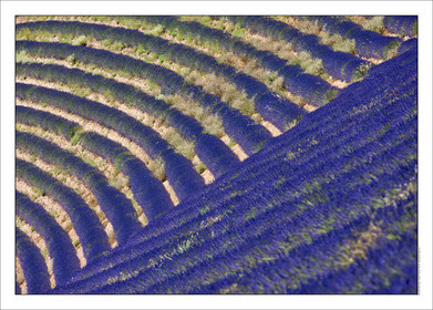 Produit : Tirage photo réalisé par nos soins sur imprimante jet d'encre professionnelle Epson à partir de 8 encres ultrachrome inaltérables (label Digigraphie).Formats au choix : . 30x40 cm. 50x70 cm. 80x120 cm.Choix des papiers :. Papier standard brillant 250 gr., filet noir, marge blanche, tirage non signé. Papier haut de gamme satiné 290 gr. filet noir, marge blanche, tirage vérifié et signé par l'auteur.. Autres supports (canvas, acrylique, dibond) sur demandeConditionnement : tube cylindrique renforcé.Options pour l'expédition : . colissimo + dépôt boîte aux lettres (France uniquement). Colissimo avec signature à réception. Transporteur express (2 jours ouvrés) avec signature à réceptionCliquez sur caddie pour sélectionner votre formule et démarrer la procédure de commande en ligne