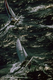 CataSport025.jpg