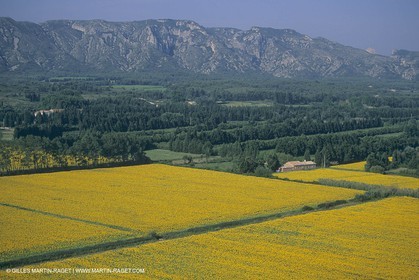 France, south, Alpilles landscapes