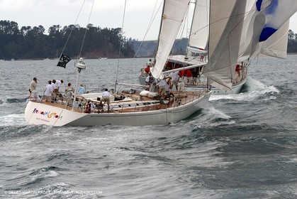 Sailing, Sailing Super Yachts, Millenium Cup 2003, Auckland (NZL)