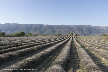 19 04 2018, Saint Martin de Castillon (FRA,84)