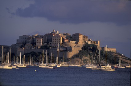 Corse - Calvi