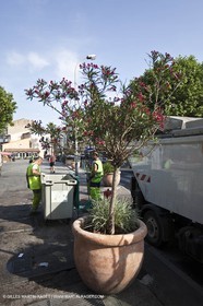 06 06 09 - Sanaray Sur Mer (FRA,83)