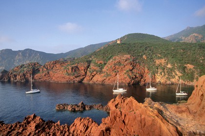 Elbo Marina - Corsica.