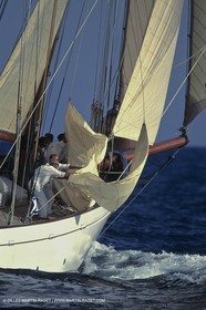 Nioulargue, Voiles de Saint-Tropez, Altaïr