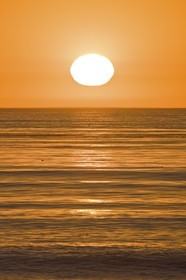 17 11 2008 - San Diego (USA, CA)