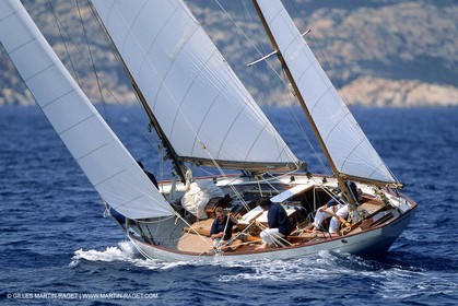 Dorade