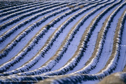 Provence under snow