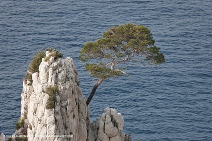 20 03 2009 - Marseille (FRA, 13) - Les Calanques - Pic de l'Eissadon et falaises du Devenson