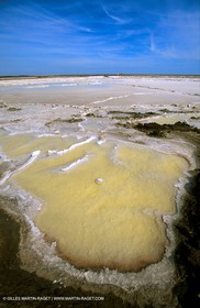 Salt-water marsh