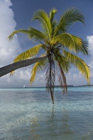 01 02 2008 - San Blas Archipelago (Panama) - Motor Yacht Senses