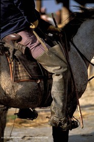 Arles - Camargue gardians (cow boys) at work