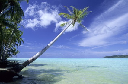 Polynesia