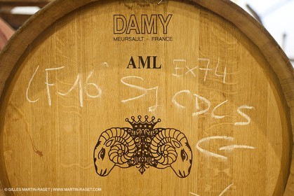 Saint Drézéry (FRA, 34), Domaine de Puech Haut