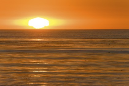 17 11 2008 - San Diego (USA, CA)
