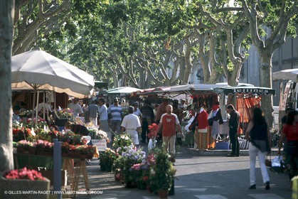 costieres_plaine0131
