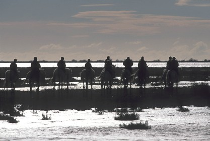 Arles - Travail des gardians de Camargue
