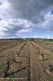 Paysages de Nîmes Métropole (FRA,30)