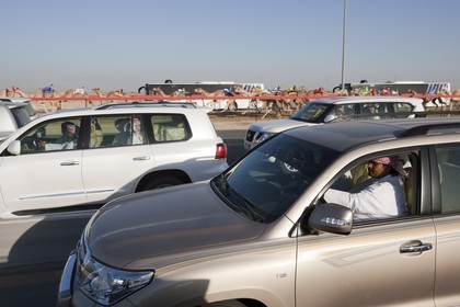 20 11 2010 - Dubai (EAU) - Courses de chameaux