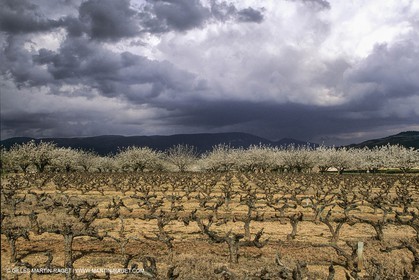 France, Provence, Paysages du Luberon, Luberon Landscapes