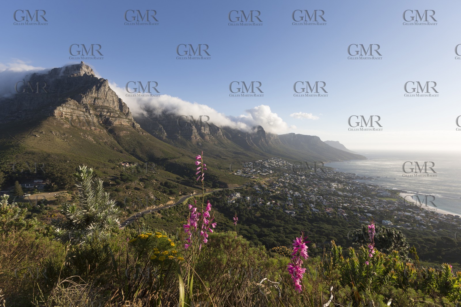 10 11 2014, Capetown (ZAF), Volvo Ocean Race 2014-15, Team Alvimedica