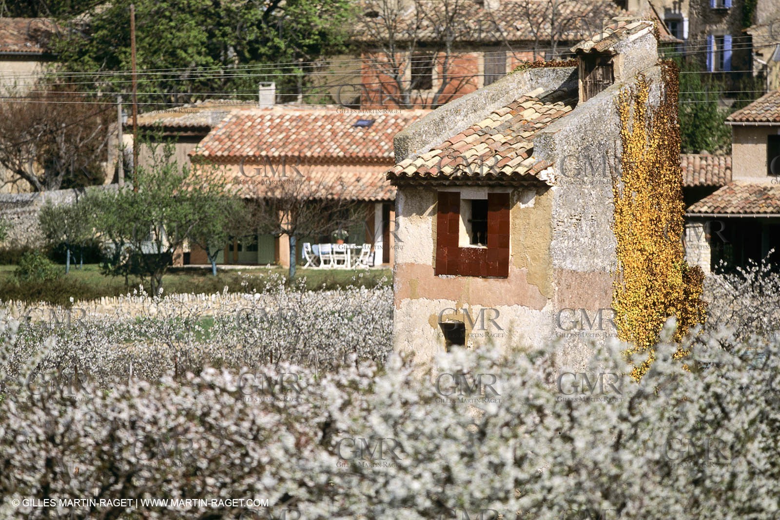 Luberon in winter near Saint Satrunin les Apt (FRA,84)