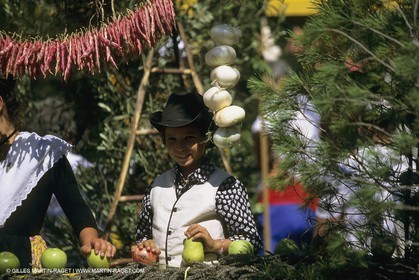 France, Provence, Saint-Rémy de Provence, Careto ramado (Char fleuri)