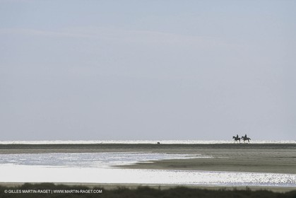 France, Provence, Gardians de Camargue