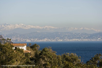 06 02 2008 - Théoule sur mer (FRA, 06) - Mimoses in full flower