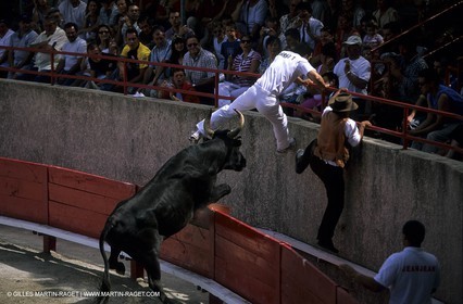 bull games in Clarensac (Gard)