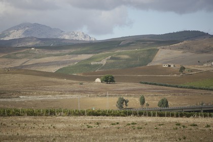 2005 - Trapani (ITA,Sicilia)